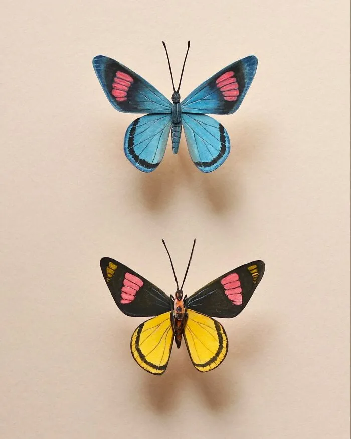 Painted Beauty Butterfly