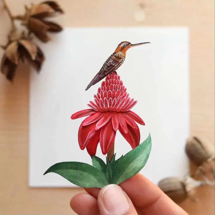 Saw-Billed Hermit