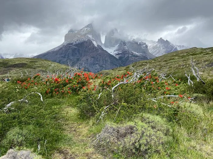 Los Cuernos- Torres Del Paine National Park, Patagonia