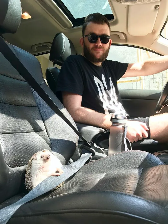 Safety First