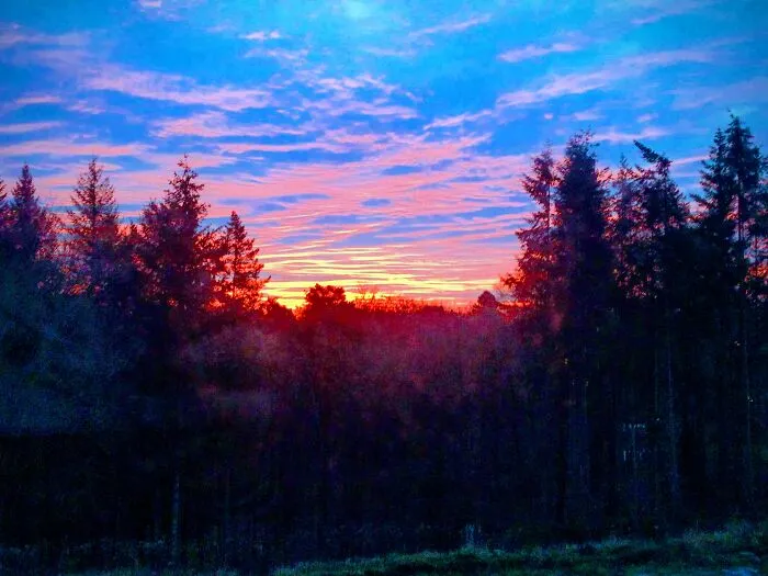 View From My Window In The Psychiatrie. Its Some Time Back And I Wasnt In A Good Mental Condition So I Was In This Clinic To Get Better. One Morning Woke Up To This. Turns Out It Was A New Morning In My Life Life And Im In A Much Better Place Now.