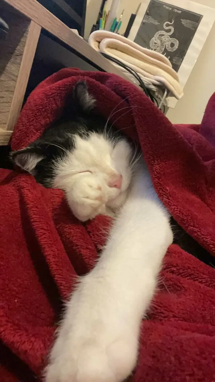 Cozy And Warm