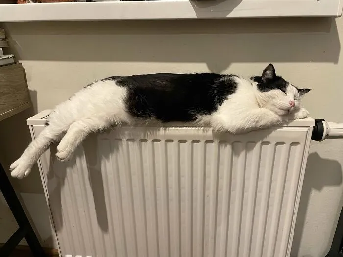 Warm And Cozy