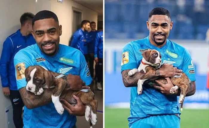 Russian Football Team Won People's Hearts After Walking On Field With Shelter Dogs To Promote Adoption (14 Pics)