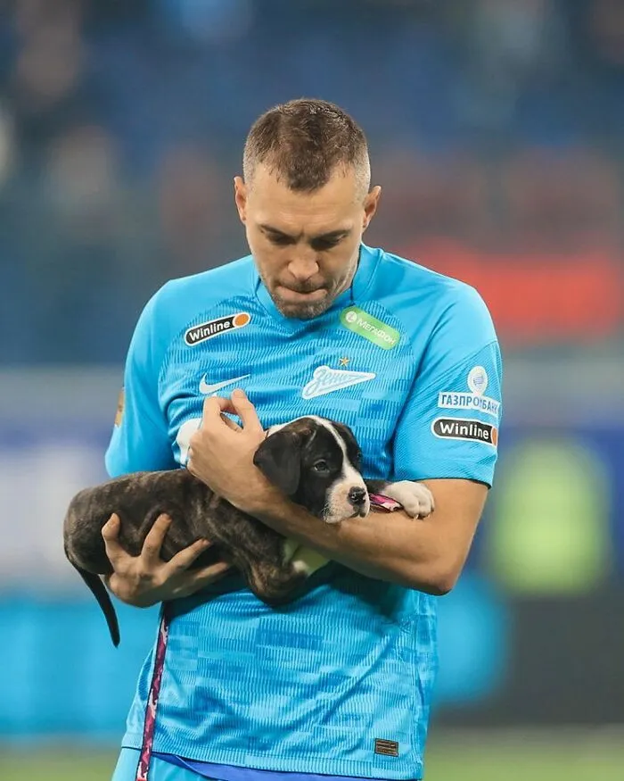Russian Football Team Won People's Hearts After Walking On Field With Shelter Dogs To Promote Adoption (14 Pics)