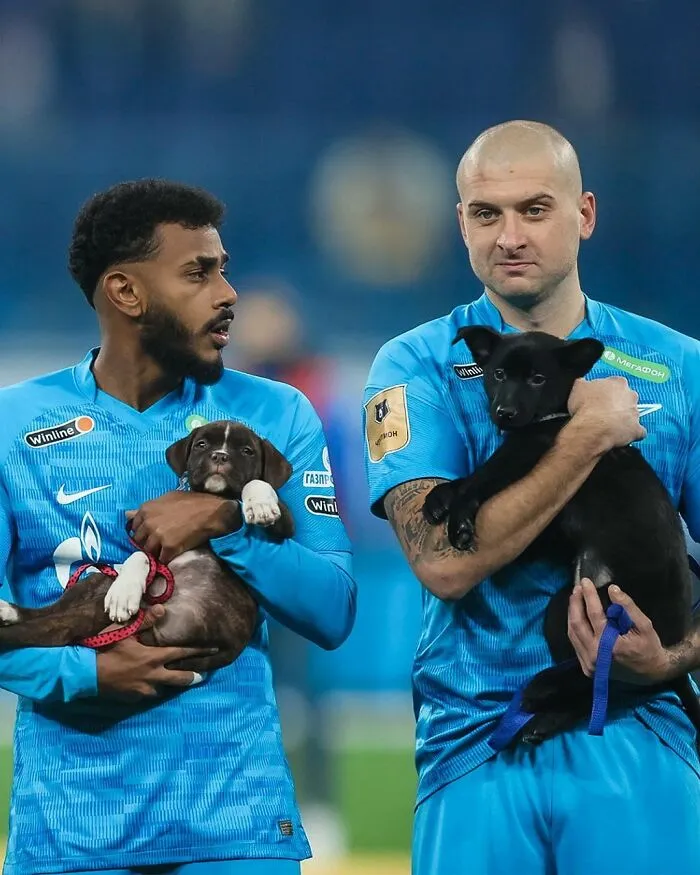 Russian Football Team Won People's Hearts After Walking On Field With Shelter Dogs To Promote Adoption (14 Pics)
