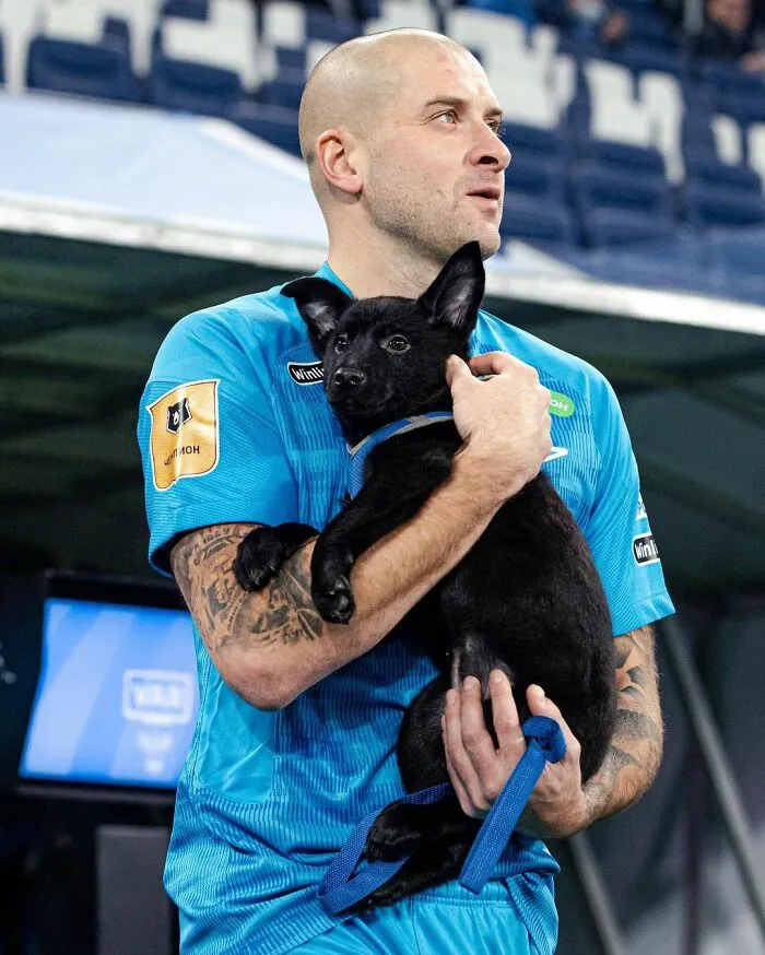 Russian Football Team Won People's Hearts After Walking On Field With Shelter Dogs To Promote Adoption (14 Pics)