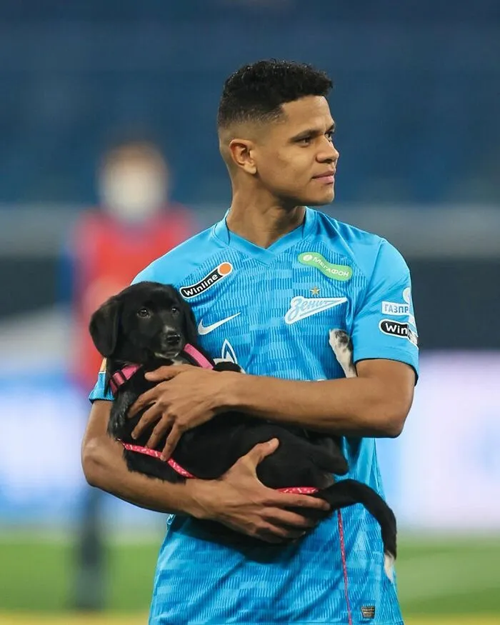Russian Football Team Won People's Hearts After Walking On Field With Shelter Dogs To Promote Adoption (14 Pics)