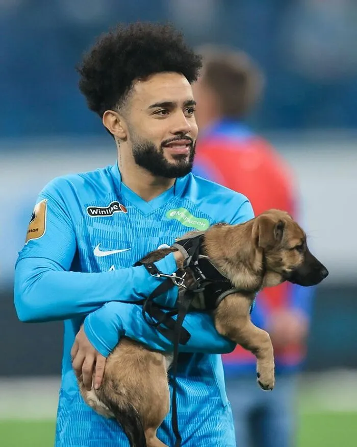 Russian Football Team Won People's Hearts After Walking On Field With Shelter Dogs To Promote Adoption (14 Pics)