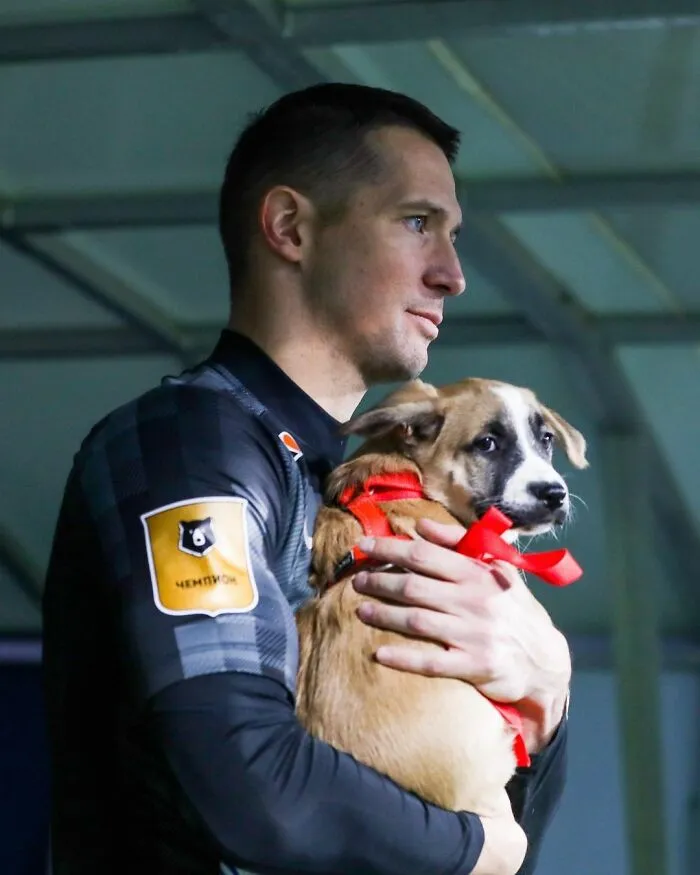 Russian Football Team Won People's Hearts After Walking On Field With Shelter Dogs To Promote Adoption (14 Pics)