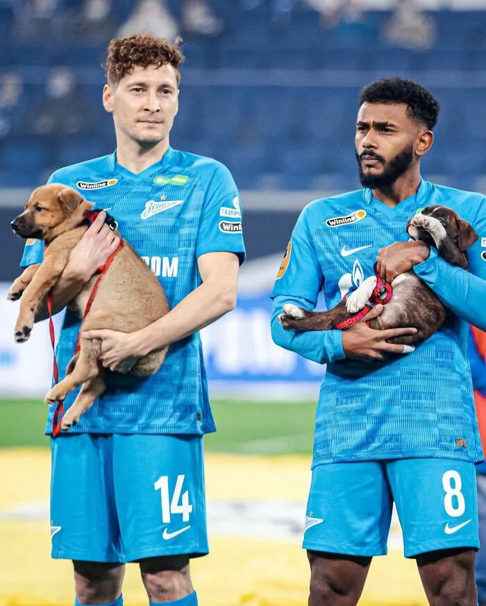Russian Football Team Won People's Hearts After Walking On Field With Shelter Dogs To Promote Adoption (14 Pics)