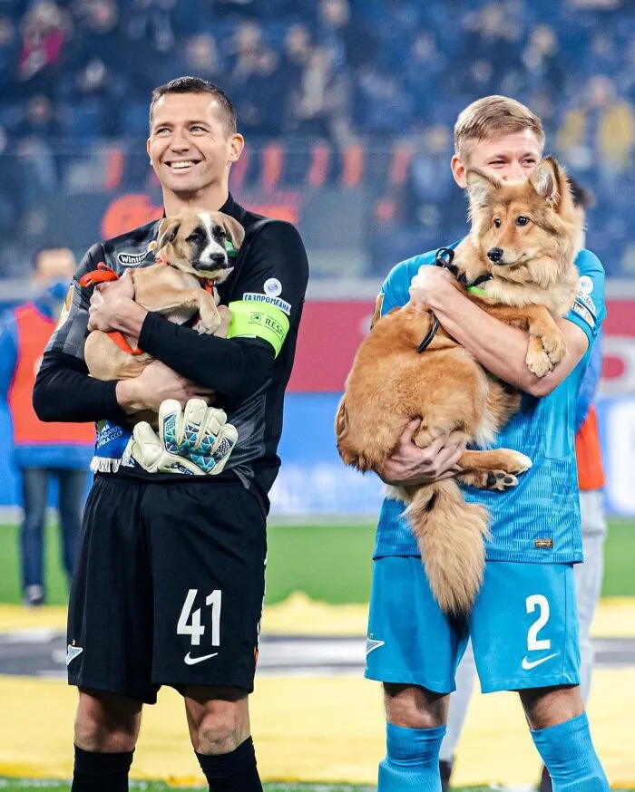 Russian Football Team Won People's Hearts After Walking On Field With Shelter Dogs To Promote Adoption (14 Pics)