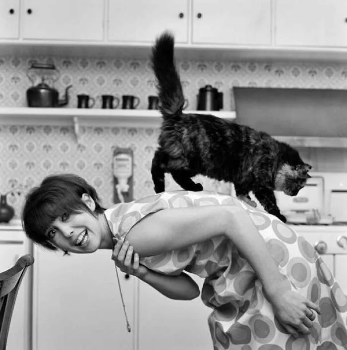 British Actress Una Stubbs