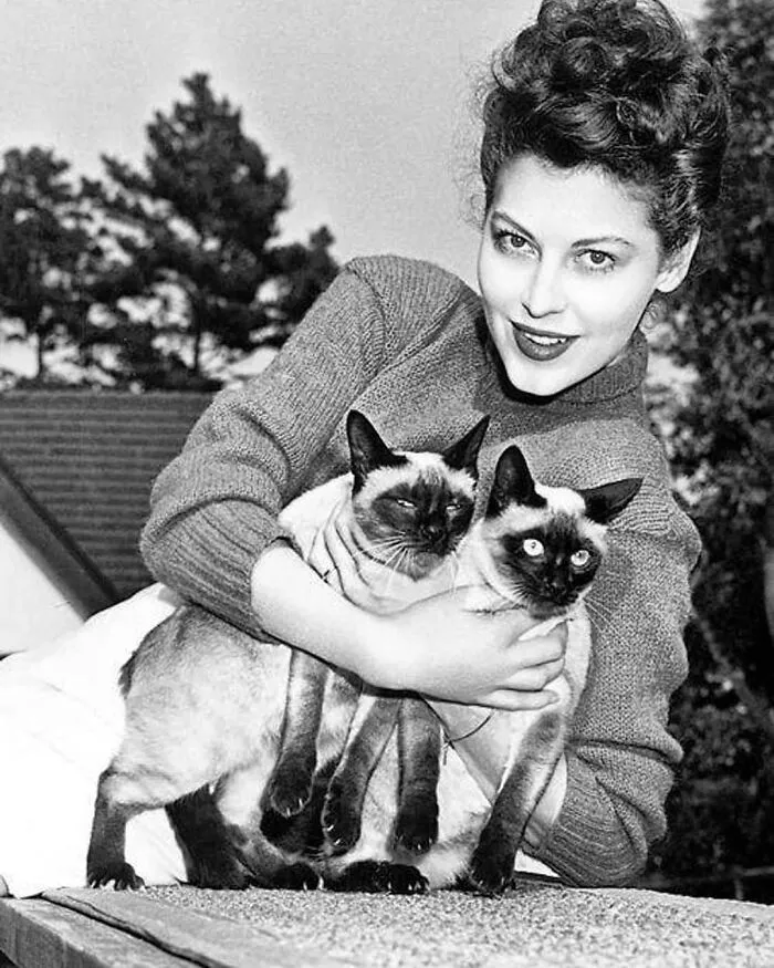 American Actress And Singer Ava Gardner