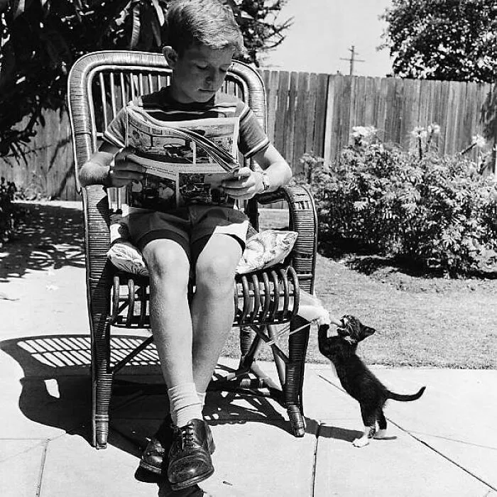 Esta periodista colecciona fotos vintage de celebridades con sus gatos y demás (30 fotos)