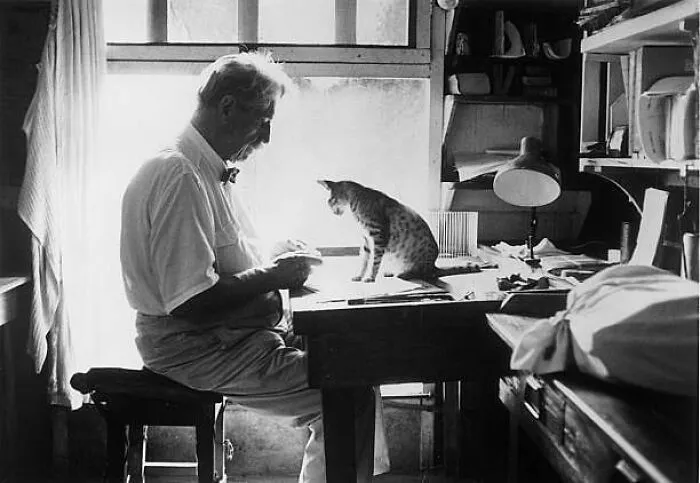 The German Physician, Philosopher And Theologian Albert Schweitzer