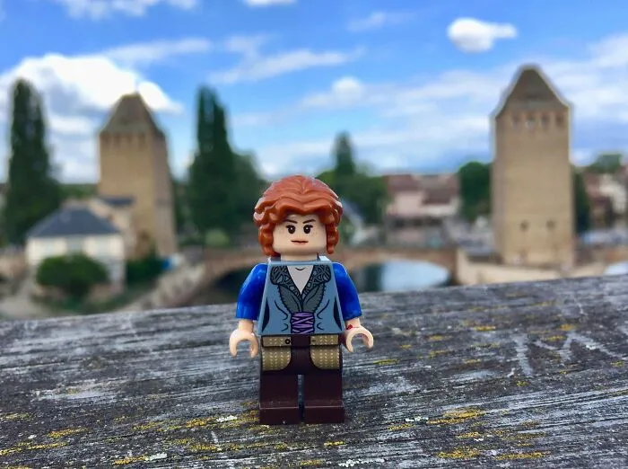 The Housewife In Strasbourg, France