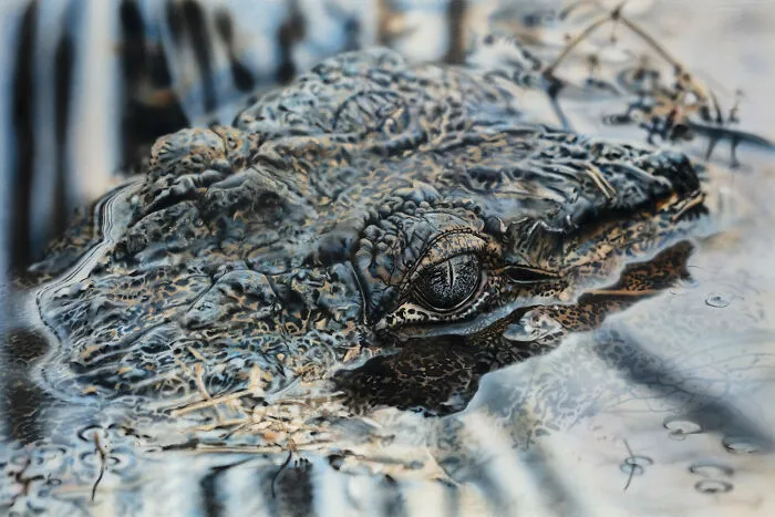 30 Times This Artist Used Acrylics And Oils To Create Paintings That Look Like Photographs