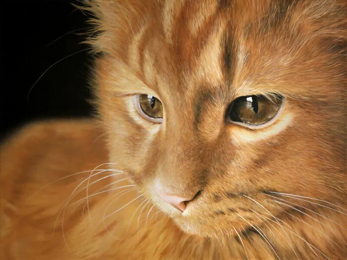 30 Times This Artist Used Acrylics And Oils To Create Paintings That Look Like Photographs