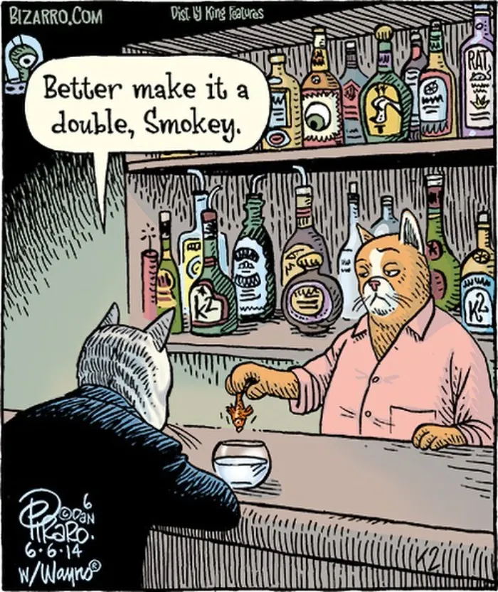 Dan Piraro's 40 Silly And Funny Single-Panel Comics With Unexpectedly Absurd Situations