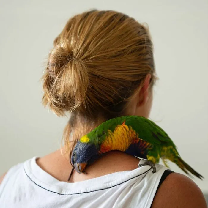 Professional Photographer Captures Perfectly Posed Birds, And Here Are The Best 58 Photos