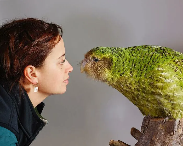 Professional Photographer Captures Perfectly Posed Birds, And Here Are The Best 58 Photos