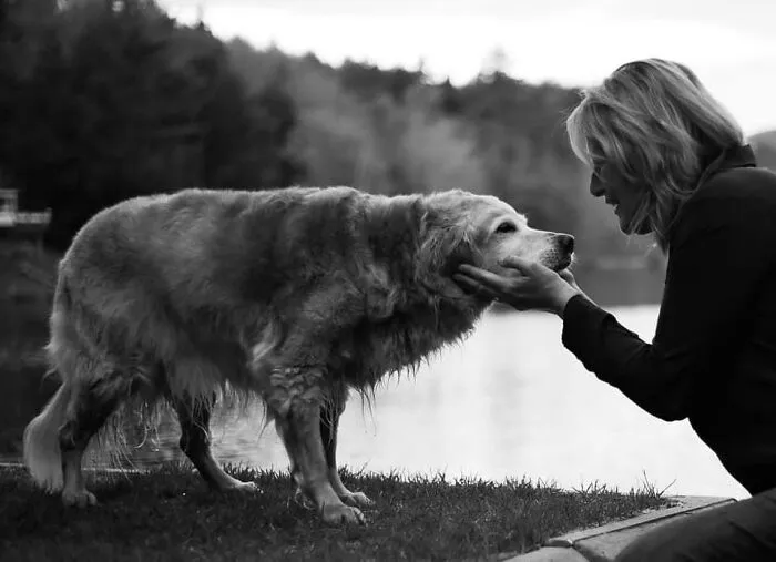 This Photographer Captures The Touching Moments Of People Saying Goodbye To Their Pets (17 Pics)