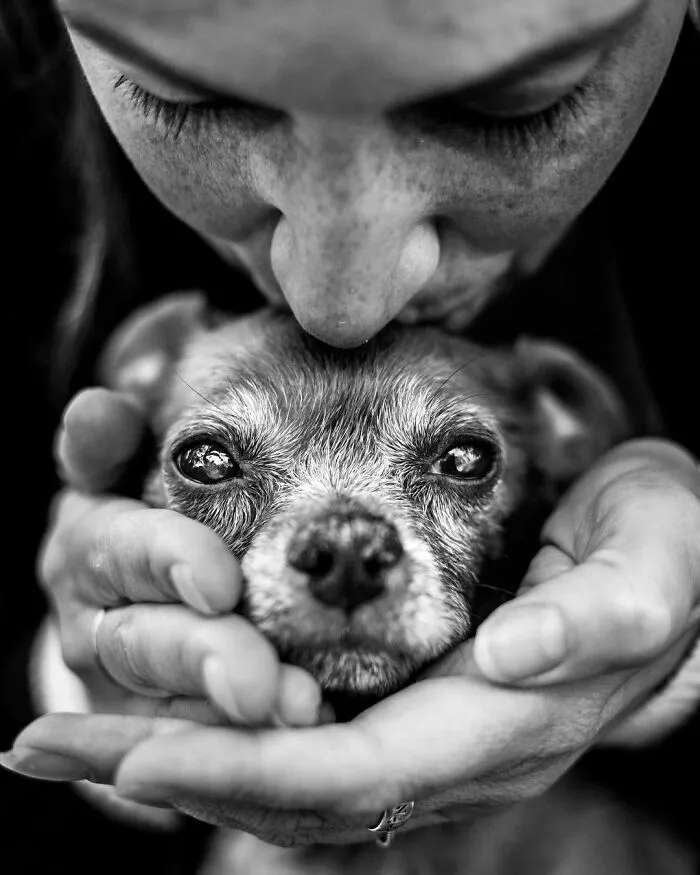 This Photographer Captures The Touching Moments Of People Saying Goodbye To Their Pets (17 Pics)