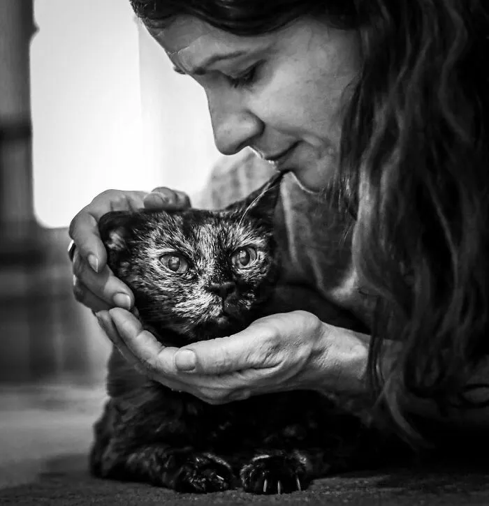 This Photographer Captures The Touching Moments Of People Saying Goodbye To Their Pets (17 Pics)