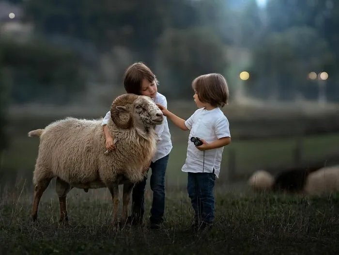 Here Are 59 Cozy And Magical Child Photos By Iwona Podlasinska That Show What Childhood Is All About