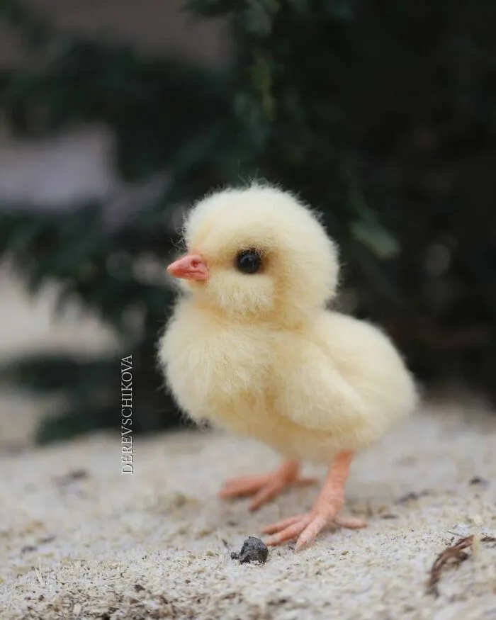 30 Adorable Needle-Felted Wool Animals By Yulia Derevschikova (New Pics)