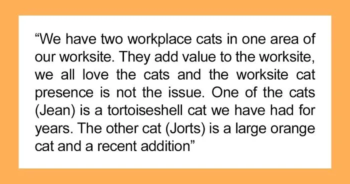 Colleague Makes Woman Cry By Saying One Of The Office Cats Is Dumb And The Matter Reaches HR