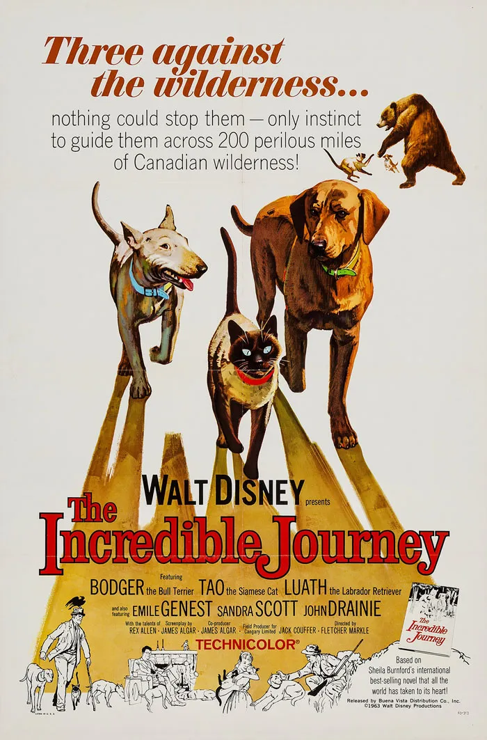 The Incredible Journey
