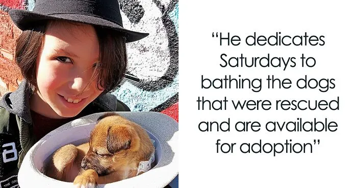 11-Year-Old Brazilian Boy Bathes Stray Dogs On Saturdays To Increase Their Chance At Being Adopted
