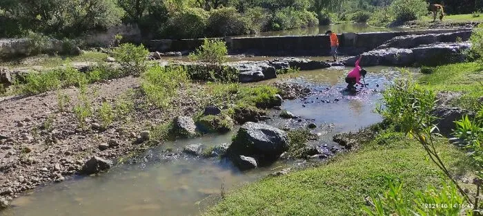 River Reborn After A Rainy Night
