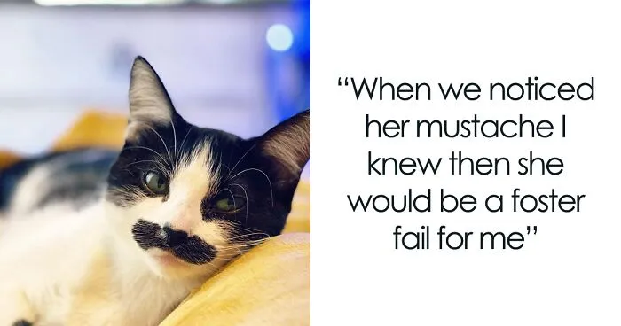 This Cat Went Viral On Instagram Because It Was Born With A "Mustache"
