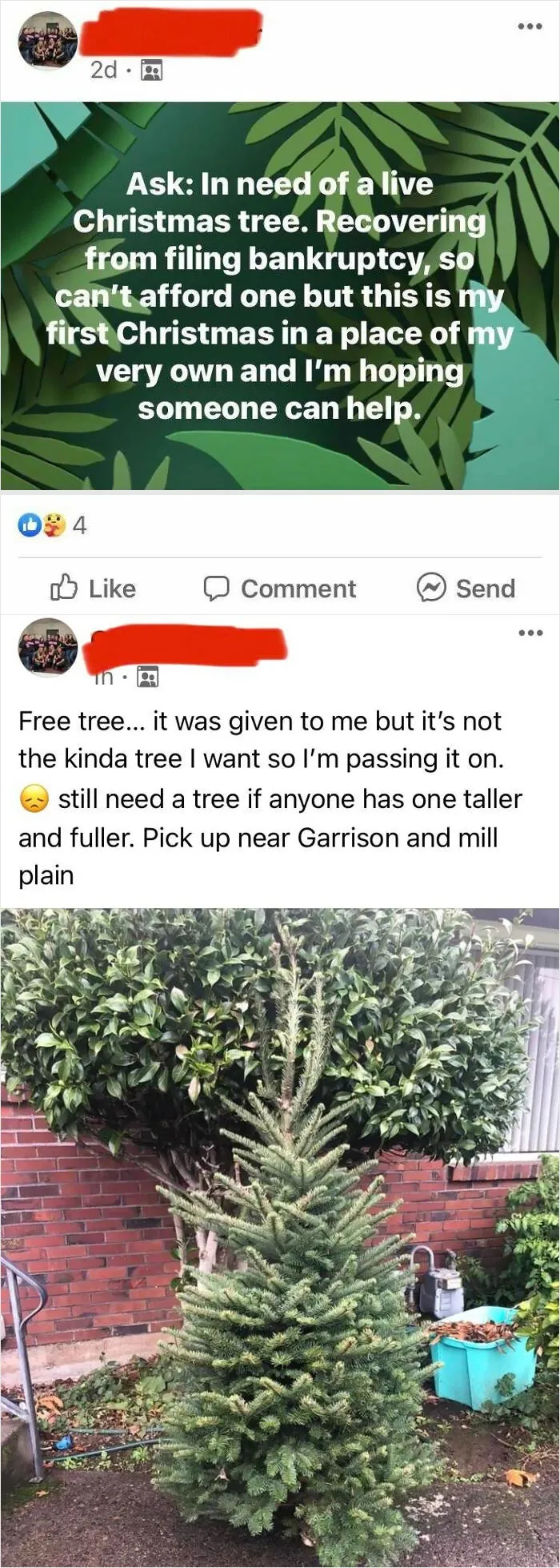 Free Christmas Isn’t Tall Or Full Enough