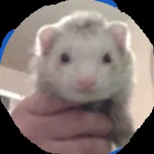 Hailz