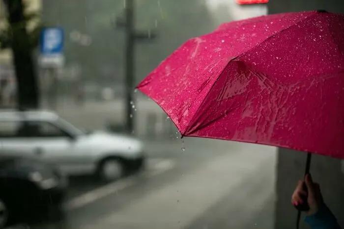 35 People Share Encounters With Someone That Made Them Think “Are You Really That Stupid?”