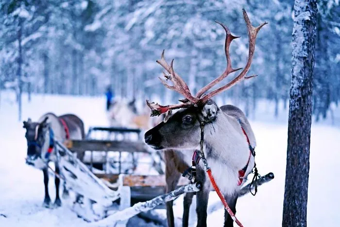40 Random Facts That Sound Fake But Aren’t, Shared In This Online Thread