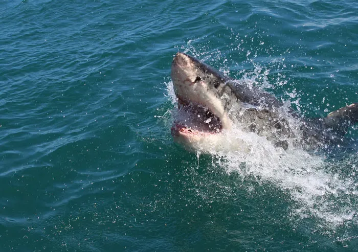 35 People Are Sharing The Craziest And Most Disturbing Stats They Know