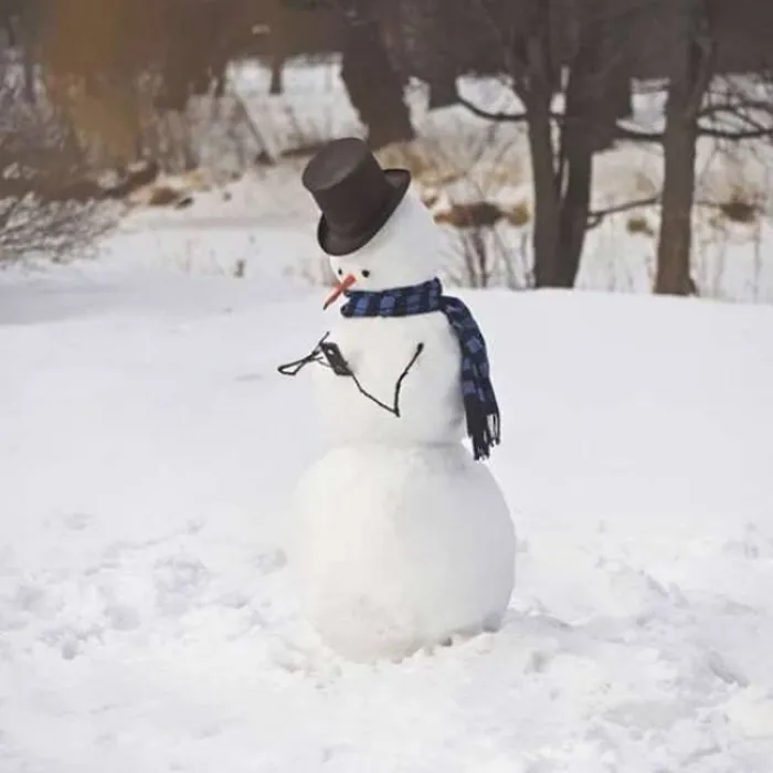 Muñeco de nieve con un iPhone