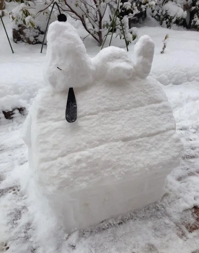 Snoopy And His House