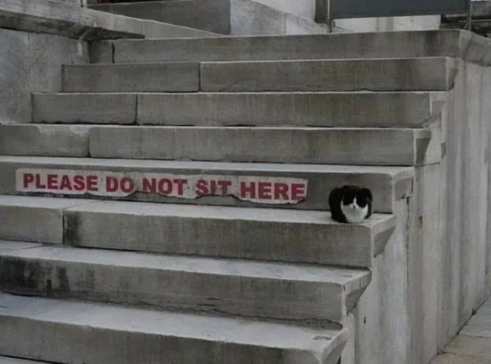 "I Want To Leave" Is Pretty Much The Weirdest Instagram Account, And Here Are 50 Pictures To Prove It (New Pics)