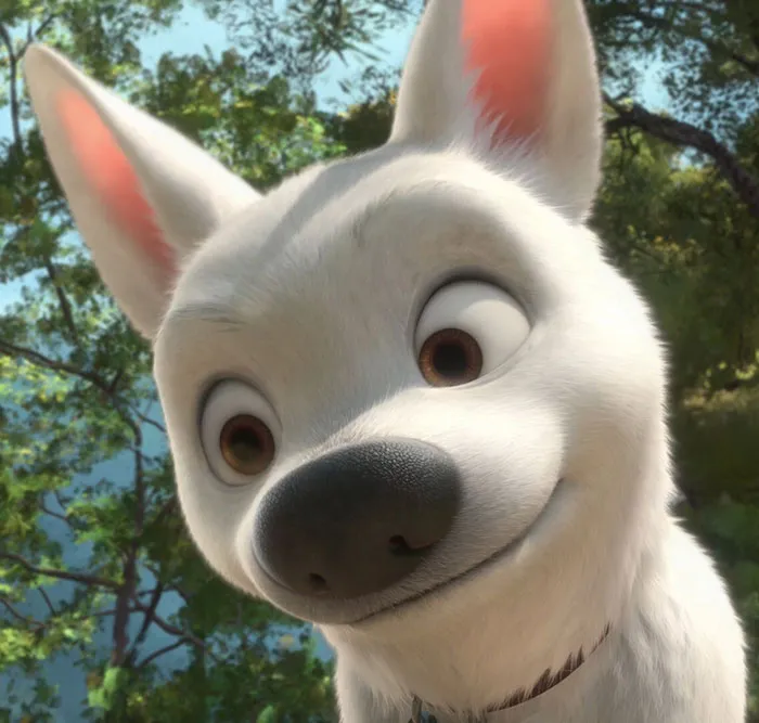 Bolt From Bolt