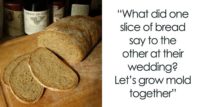 185 Cute Puns That'll Make You Go Awwww