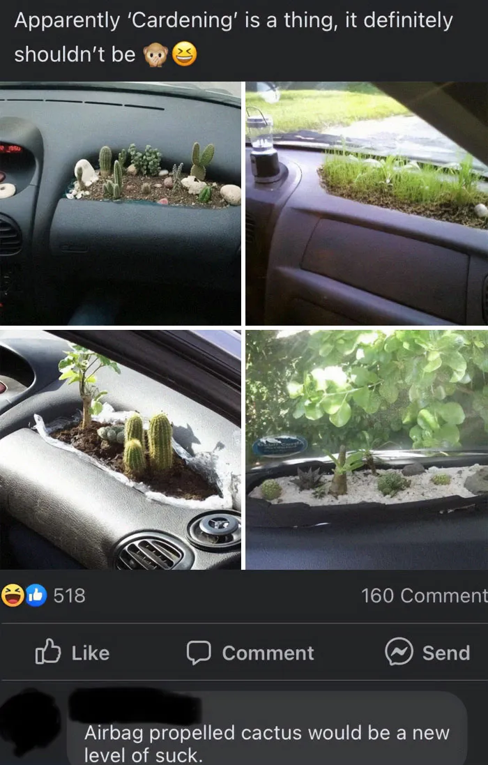 Cardening, I Can't Possible See What Could Go Wrong With This, Strange Hobby