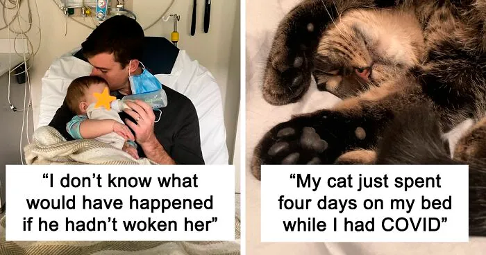 Dog Repeatedly Breaks Into The Nursery In Order To Warn Parents That There’s Something Wrong With The Baby, Saves Her Life (Plus 30 More Pet-Hero Stories)