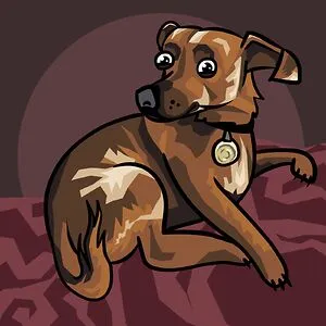 CometDog