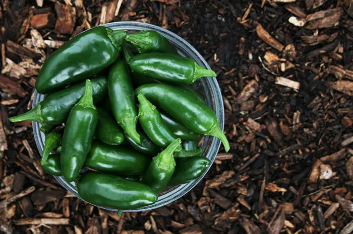 People Are Sharing Their Biggest Food Name Mistakes So You Won't Have To Make Them